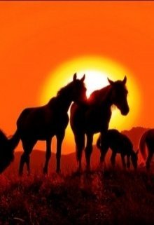 Каменный конь litnet.com