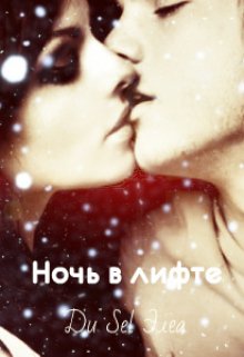 Ночь в лифте, или операция "Святой Валентин" litnet.com