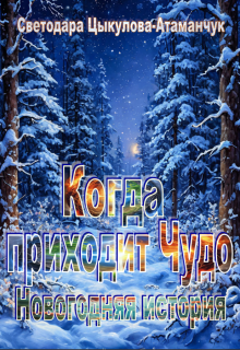 Когда приходит Чудо. Новогодняя история litnet.com