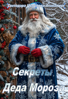 Секреты Деда Мороза litnet.com