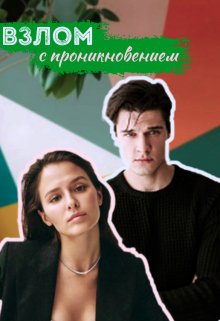 Взлом с проникновением litnet.com