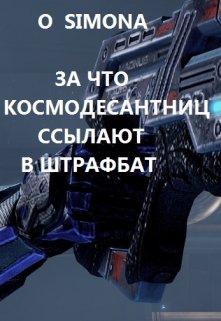 За что космодесантниц ссылают в штрафной батальон litnet.com