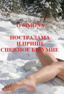 Нострадама и принц. Снежное безумие. litnet.com