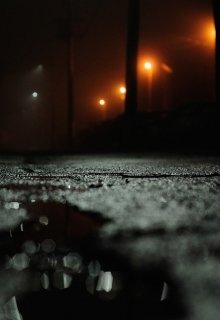 Красивый бизнес litnet.com