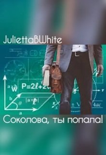 «соколова, ты попала!» litnet.com