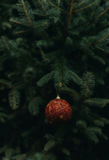 Конформность. litnet.com