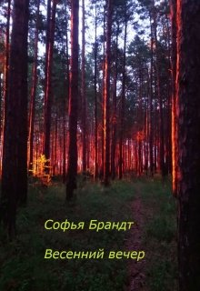 Весенний вечер litnet.com
