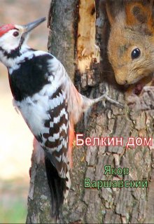 Белкин дом litnet.com