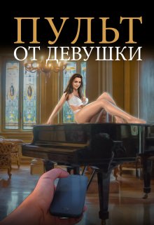 Пульт от девушки litnet.com