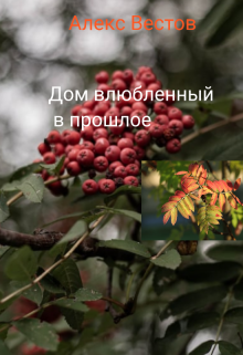 Дом влюбленный в прошлое litnet.com