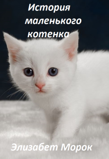 История маленького котенка litnet.com