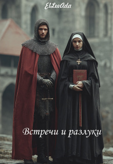 Встречи и разлуки litnet.com