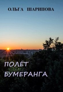 Полёт бумеранга litnet.com