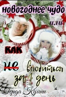 Новогоднее чудо или как ( не)влюбиться за 1 день litnet.com