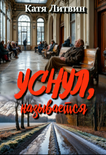 Уснул, называется litnet.com