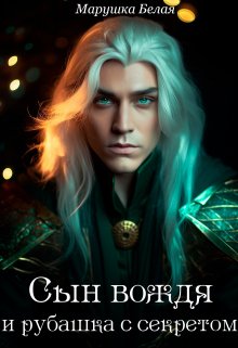 Сын вождя и рубашка с секретом. litnet.com