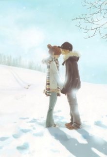 Недопонимание litnet.com