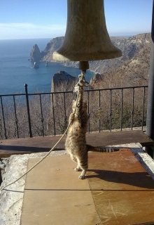 Приключения Гáтеса из Карпатоса litnet.com