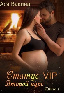 Статус Vip. Второй курс. Книга 2 litnet.com