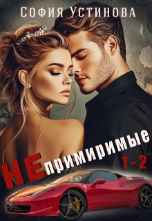 Непримиримые 1-2 litnet.com