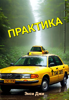 Практика litnet.com