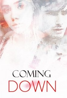 Coming down litnet.com