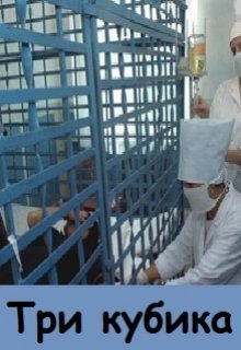 Три кубика litnet.com