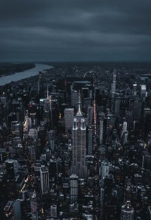 Убийственное знакомство litnet.com