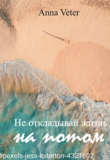 Не откладывай жизнь на потом litnet.com
