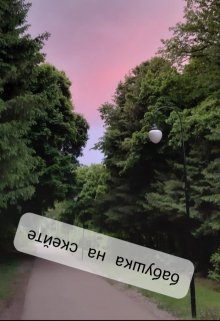 Бабушка на скейте litnet.com