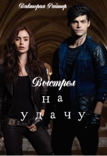 Выстрел на удачу litnet.com