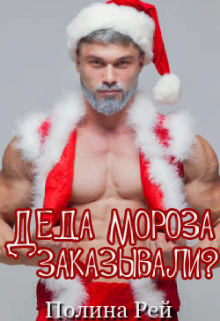 Деда Мороза заказывали? litnet.com