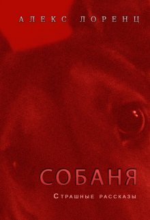 Бойфренд litnet.com