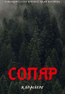 Соляр litnet.com