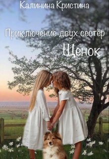 Приключение двух сестер Щенок litnet.com