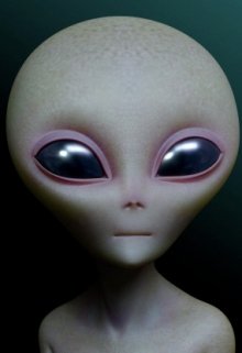 Рита и ее инопланетный друг Ари litnet.com