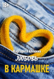 Любовь в кармашке litnet.com