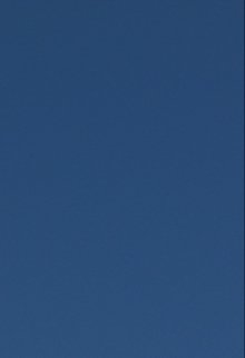 Синяя кошка. Три рассказки. litnet.com
