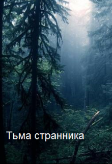 Тьма странника litnet.com