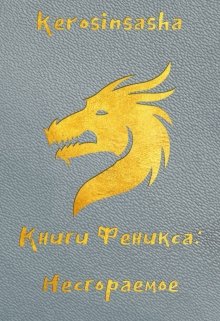 Несгораемое litnet.com