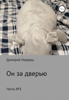 Он за дверью litnet.com