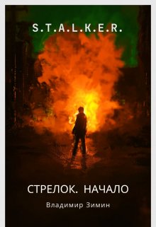 Стрелок. Начало litnet.com