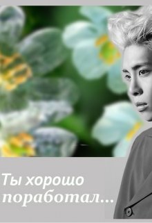 Ты хорошо поработал litnet.com