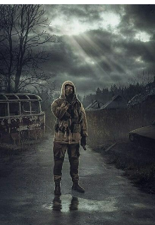 Сталкер.Бродяга Шульц litnet.com