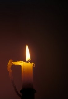 Гибель litnet.com