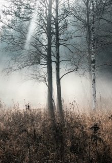 в туман litnet.com