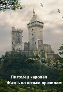 Питомец чародея. Жизнь по новым правилам (книга 2) litnet.com