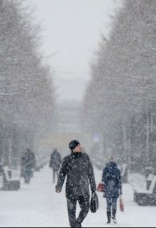 Полимеры litnet.com