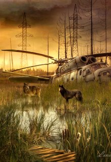 S.T.A.L.K.E.R. Черная метка. litnet.com