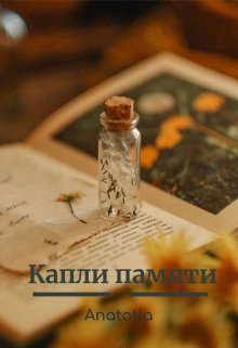 Капли памяти litnet.com